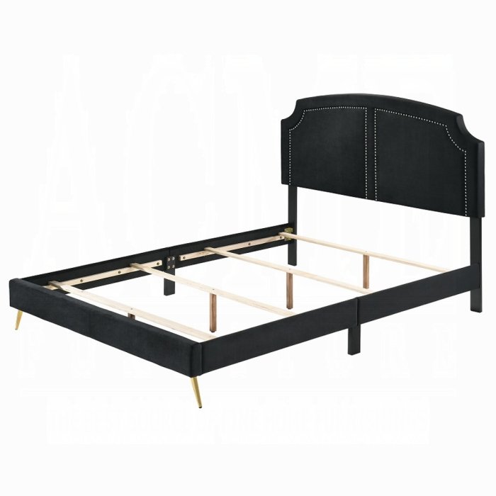 zeena ek bed